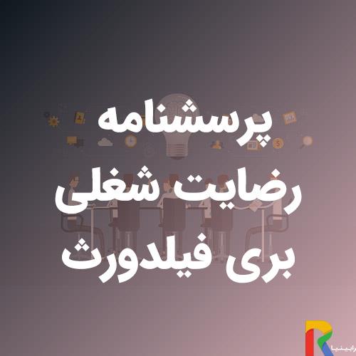 پرسشنامه رضایت شغلی بری فیلدورث